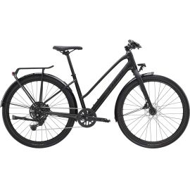 2025 Dual Sport 2 Mid-step Gen 5