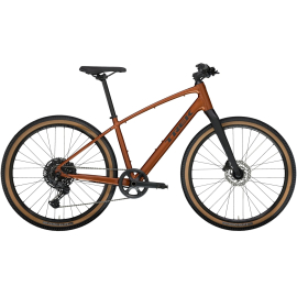 2025 Dual Sport 3 Gen 5